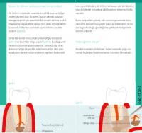 Flyer Endodontik cerrahi 3