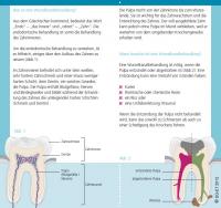 Flyer Wurzelbehandlung Seite 2